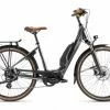 Gitane ORGANe-Bike